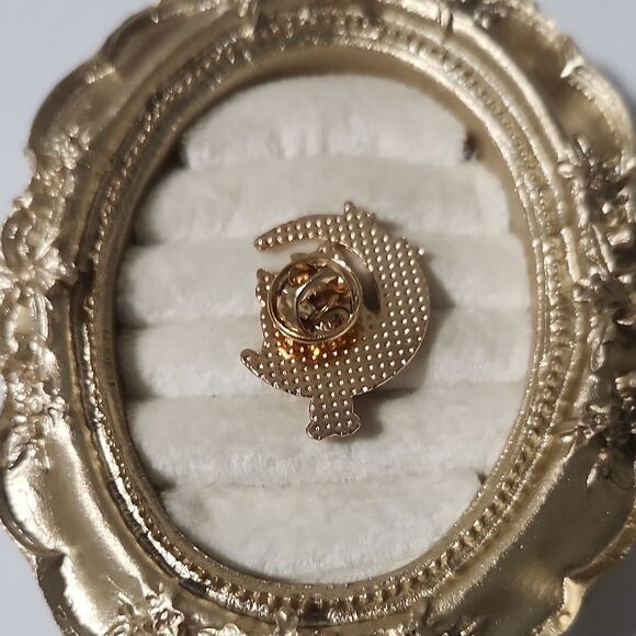 Gold and Black Cat Moon pin - Picture 4 of 5